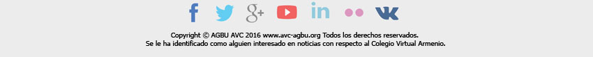 avc_insight