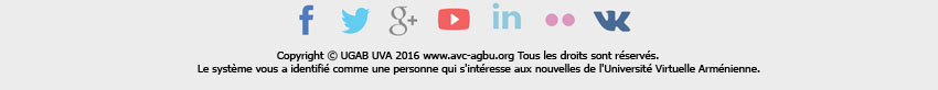 avc_insight