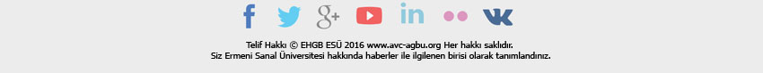 avc_insight